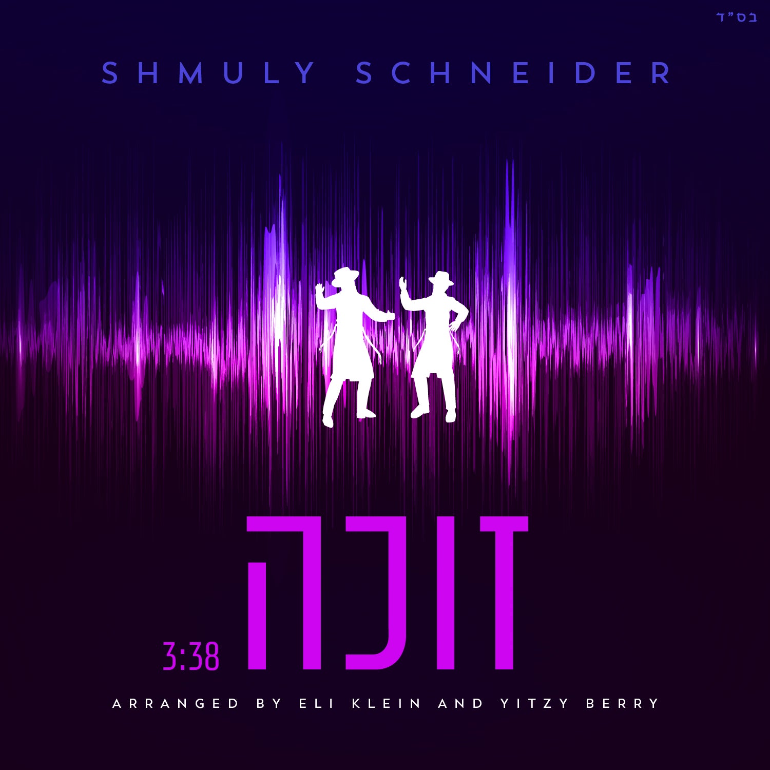 Shmuly Schneider - Zoche (Single)