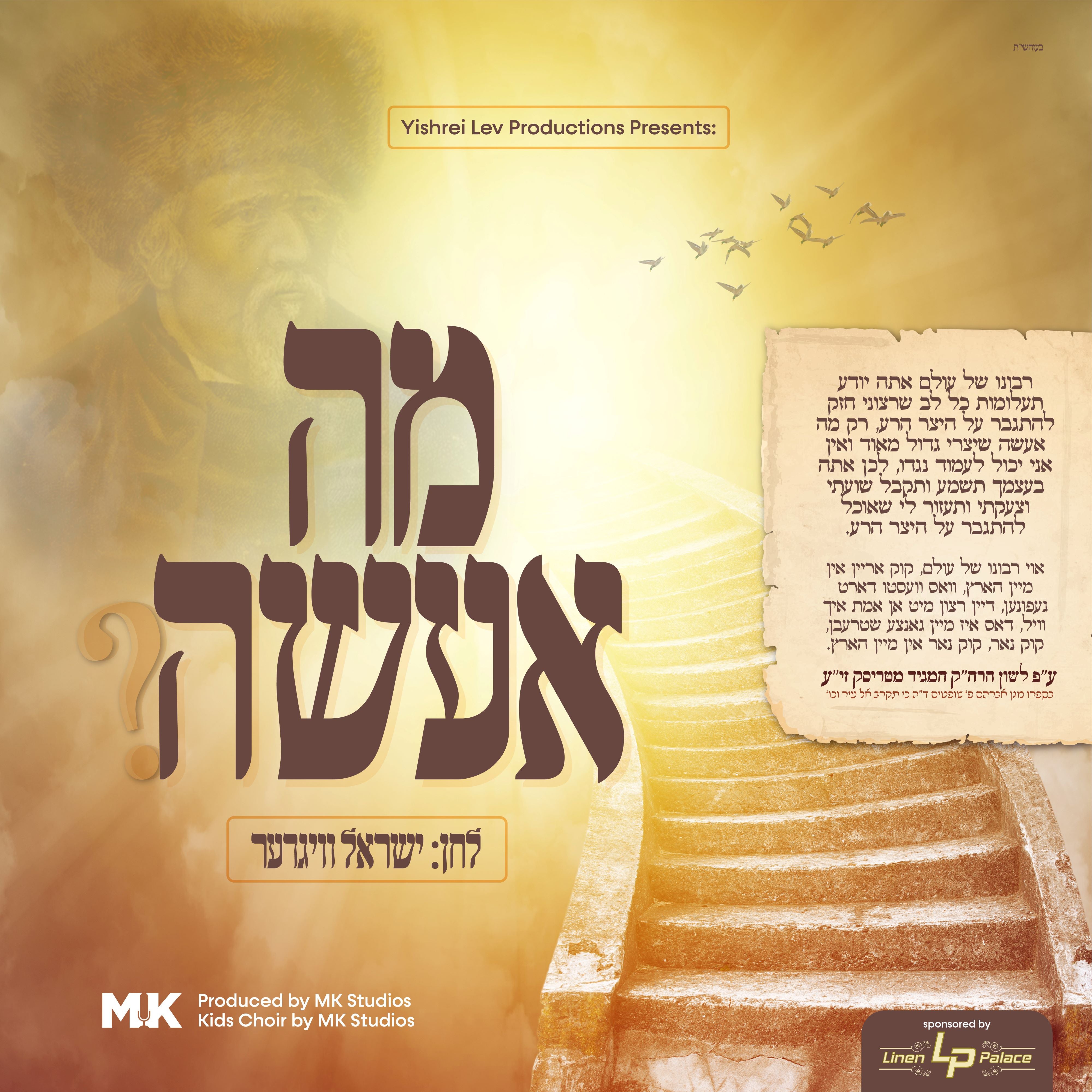 Yisroel Vigder Ft. MK Boys Choir - Mah Eseh (Single)