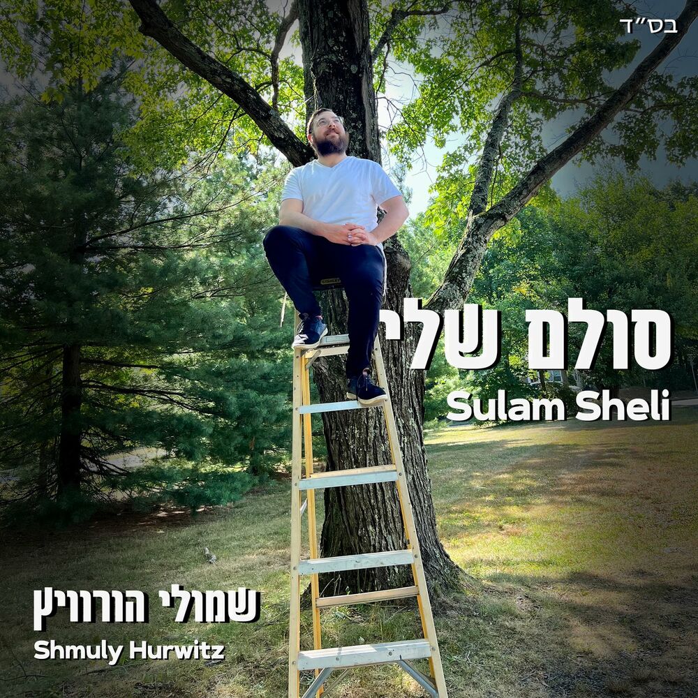 Shmuly Hurwitz - Sulam Sheli (Single)