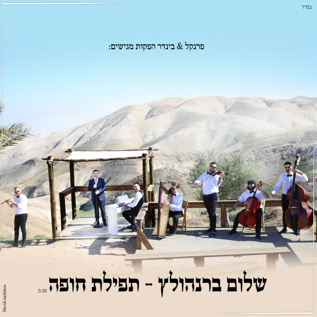 Shalom Brenholtz - Tfilat Chuppah (Single)