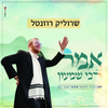Srulik Rosenthal - Amar Rabbi Shimon (Single)