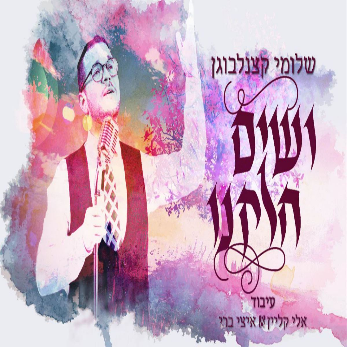 Shloime Katzanelbogen - Vesim Chelkeinu (Single)