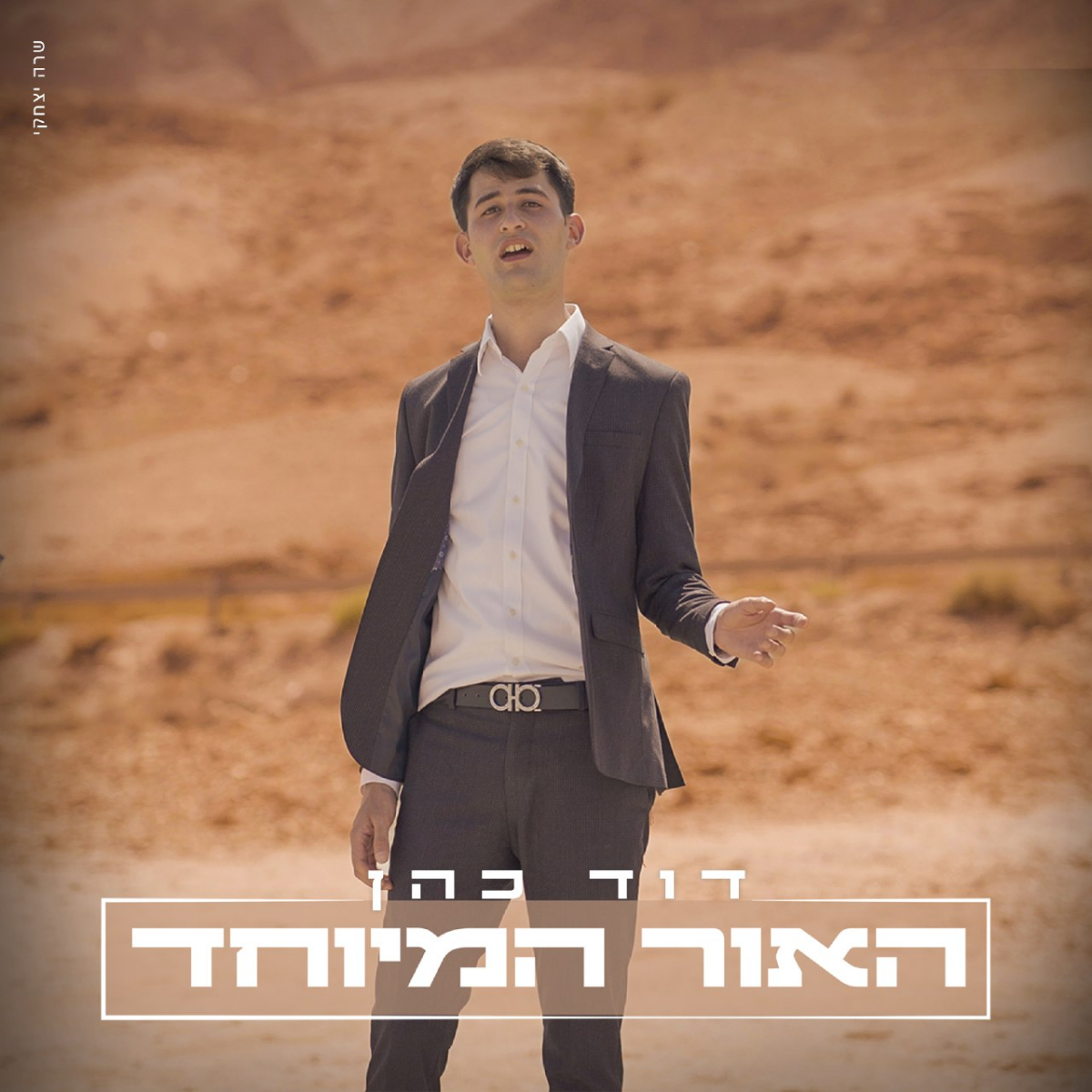 David Cohen - Haohr Hamyuchad (Single)