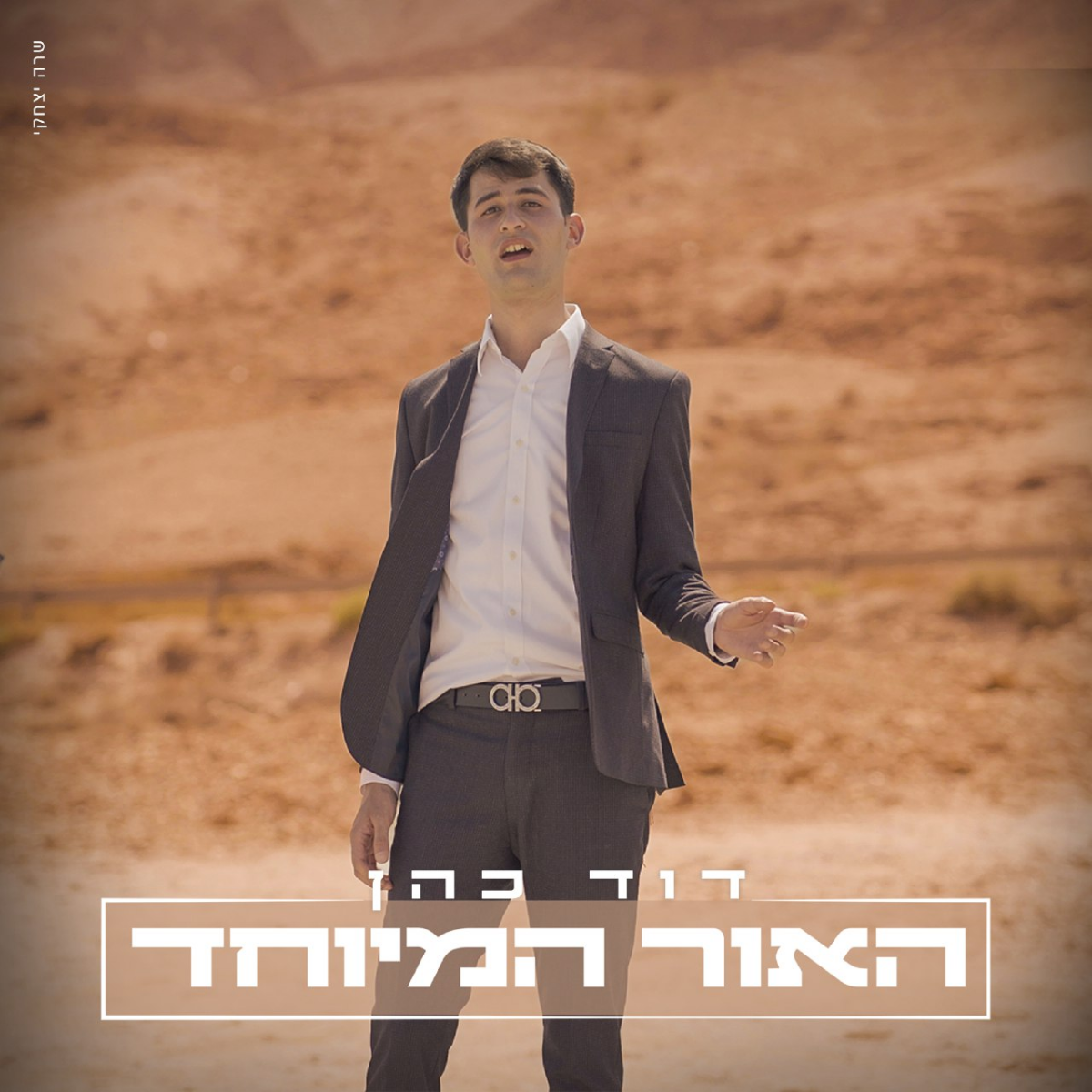 דוד כהן - האור המאוחד (סינגל)