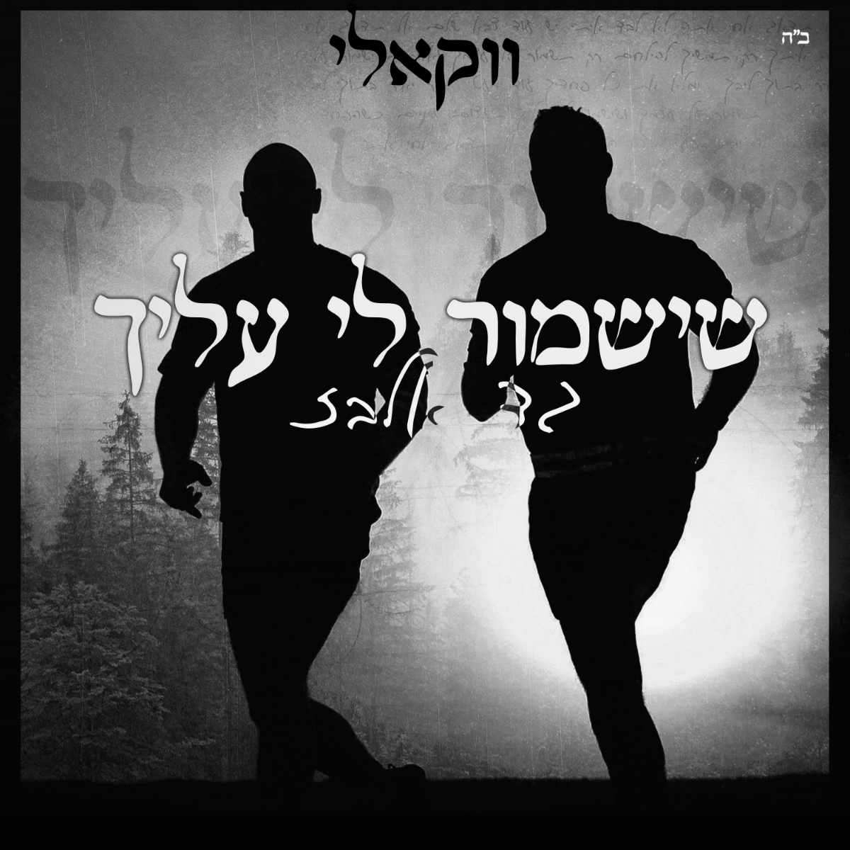 Gad Elbaz - Sheyishmor [Acapella] (Single)