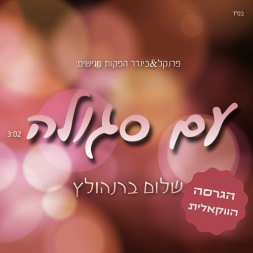 Shalom Brenholtz - Am Segula [Vocal] (Single)