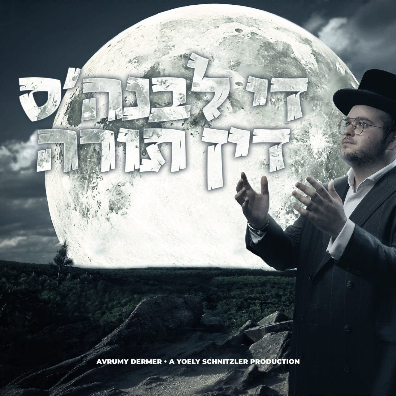 Avrumy Dermer - The Levunah's Din Torah (Single)