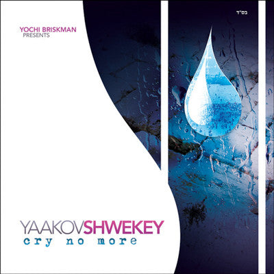 Yaakov Shwekey - Cry No More