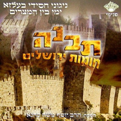 Various - Tivneh Chomos Yerushalayim