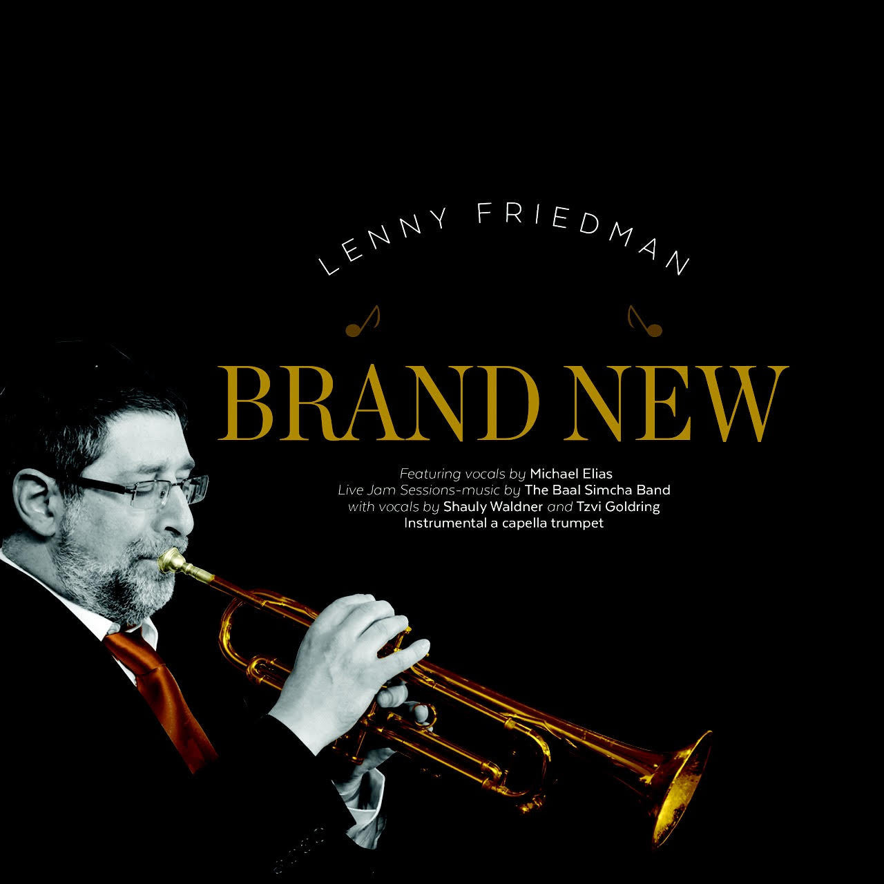 Lenny Friedman - Brand New