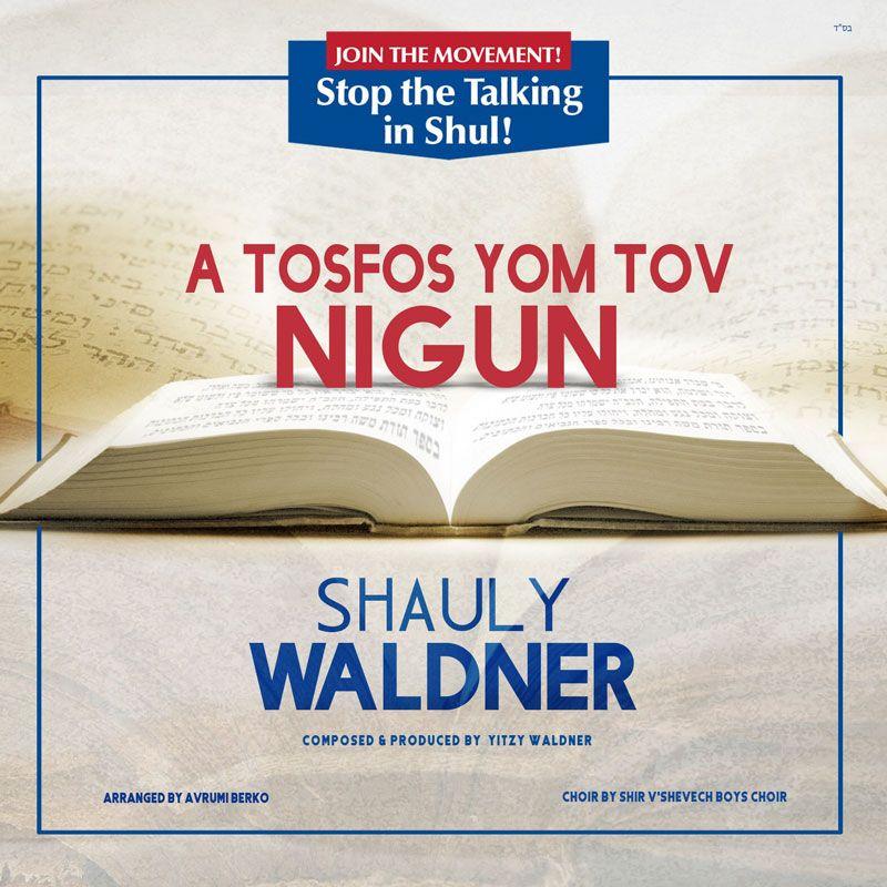 Shauly Waldner - A Tosfos Yom Tov Nigun (Single)